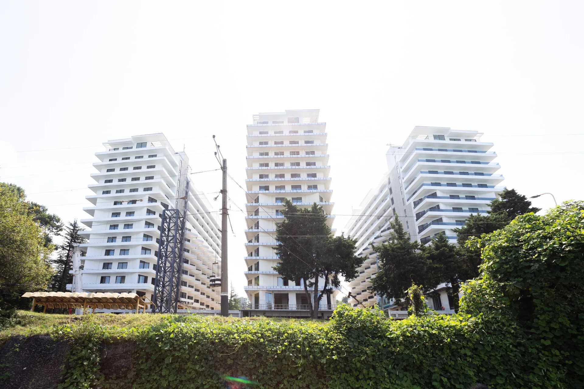 Mziuri Gardens — Галерея 5