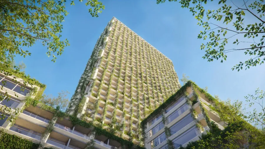 Silk Towers — image 2