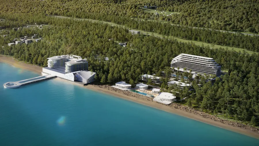VR Forest Beach Shekvetili — image 2